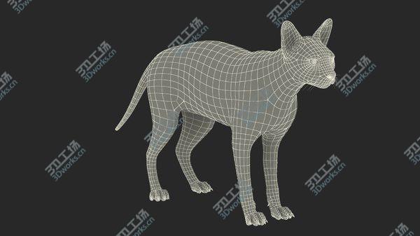 images/goods_img/20210312/Cream Sphynx Cat Rigged 3D model/4.jpg